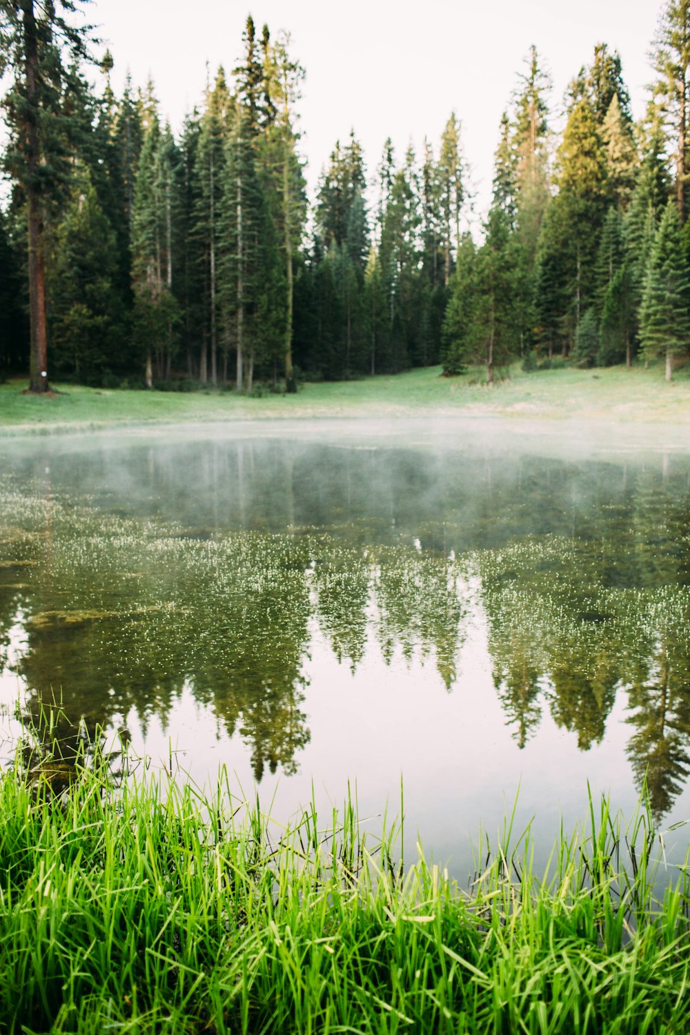 selective focus photography of lake