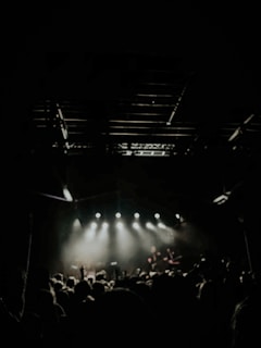 people watching concert