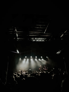 people watching concert