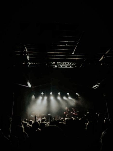 people watching concert