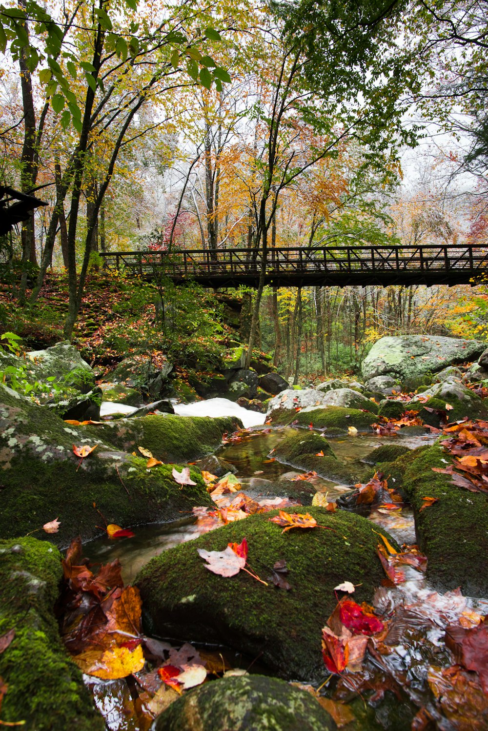 bridge over river