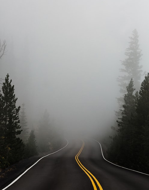 empty road surrounded with trees with fog