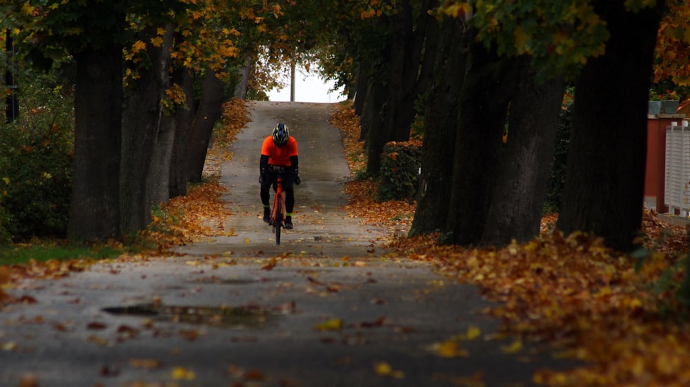 person riding bicycle between trees