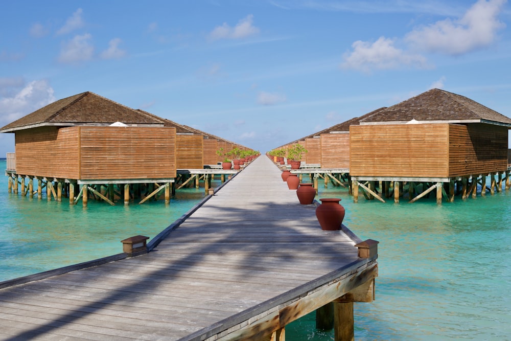 photography of wooden duck bridge