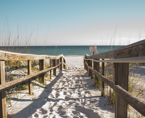 wooden fence towards the ocean