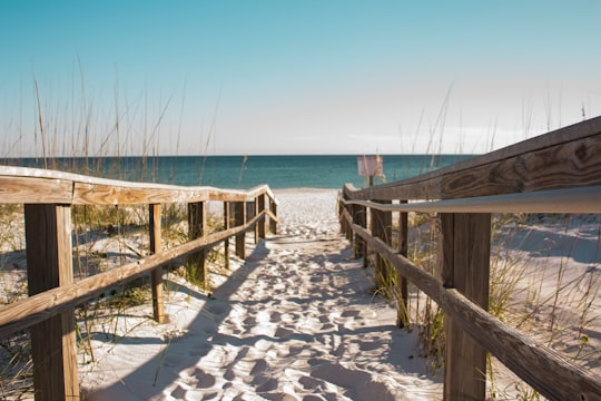 wooden fence towards the ocean in Gulf Breeze United States