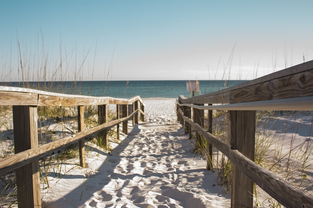 wooden fence towards the ocean,