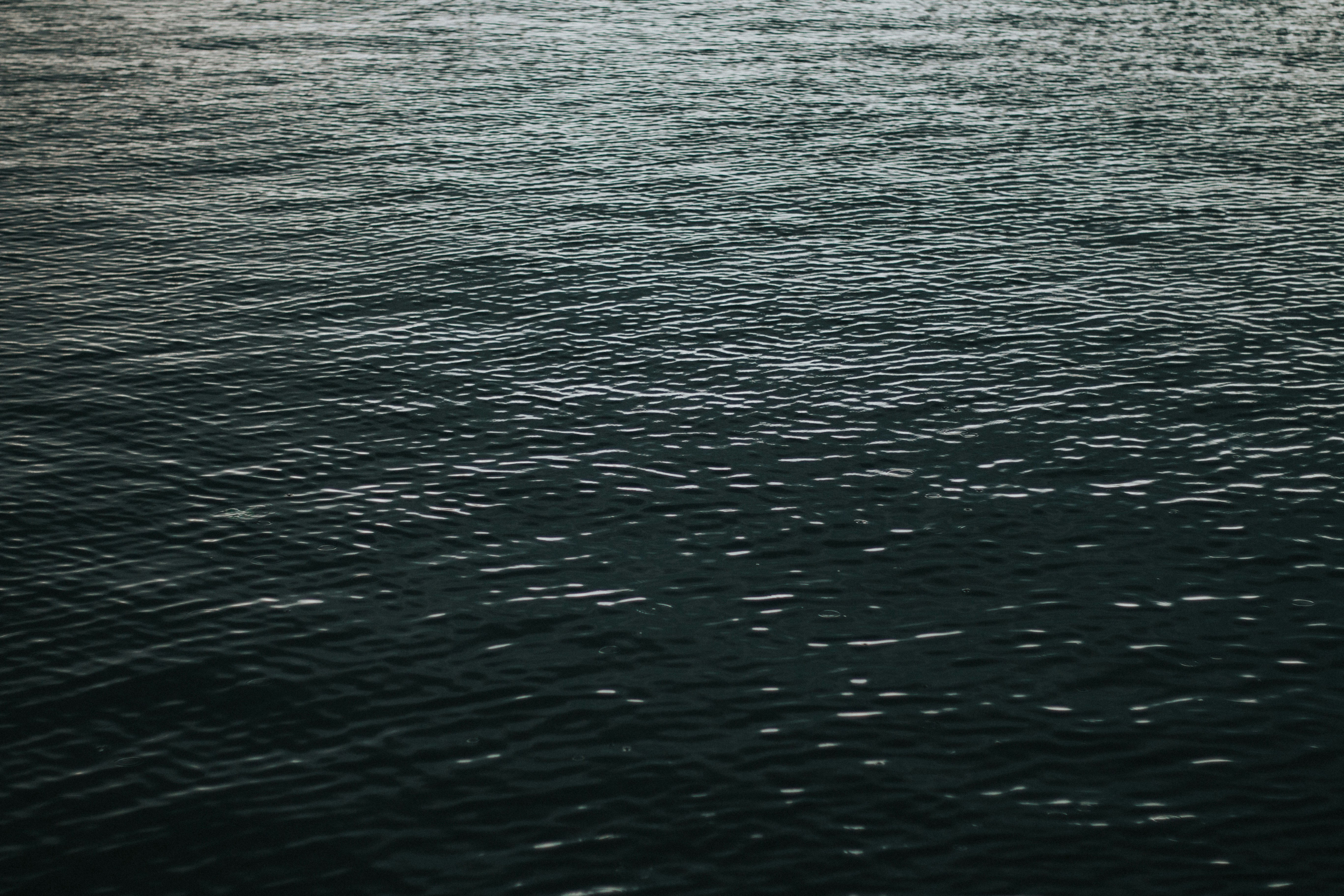 Photo by rifqialiridho