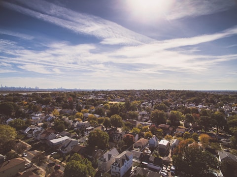 aerial photography of houses near trees