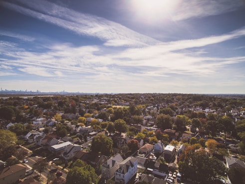 aerial photography of houses near trees