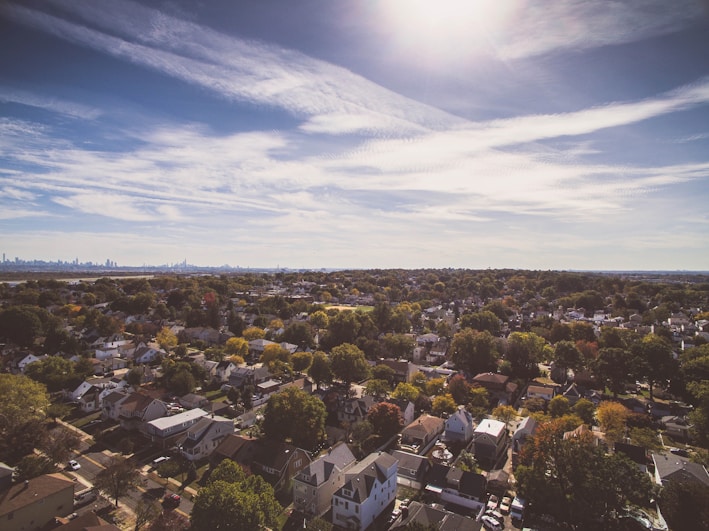 aerial photography of houses near trees