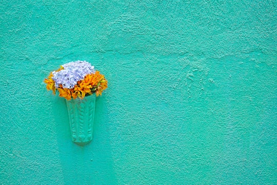 wall mounted white and orange flowers decoration in Antigua Guatemala Guatemala