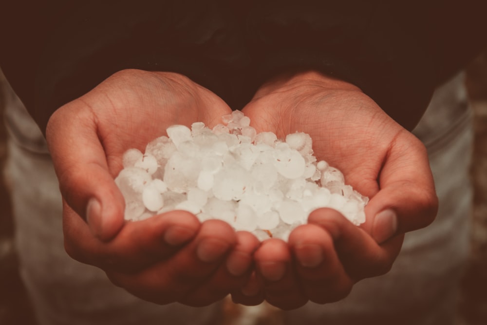photograph of person holding snow ices