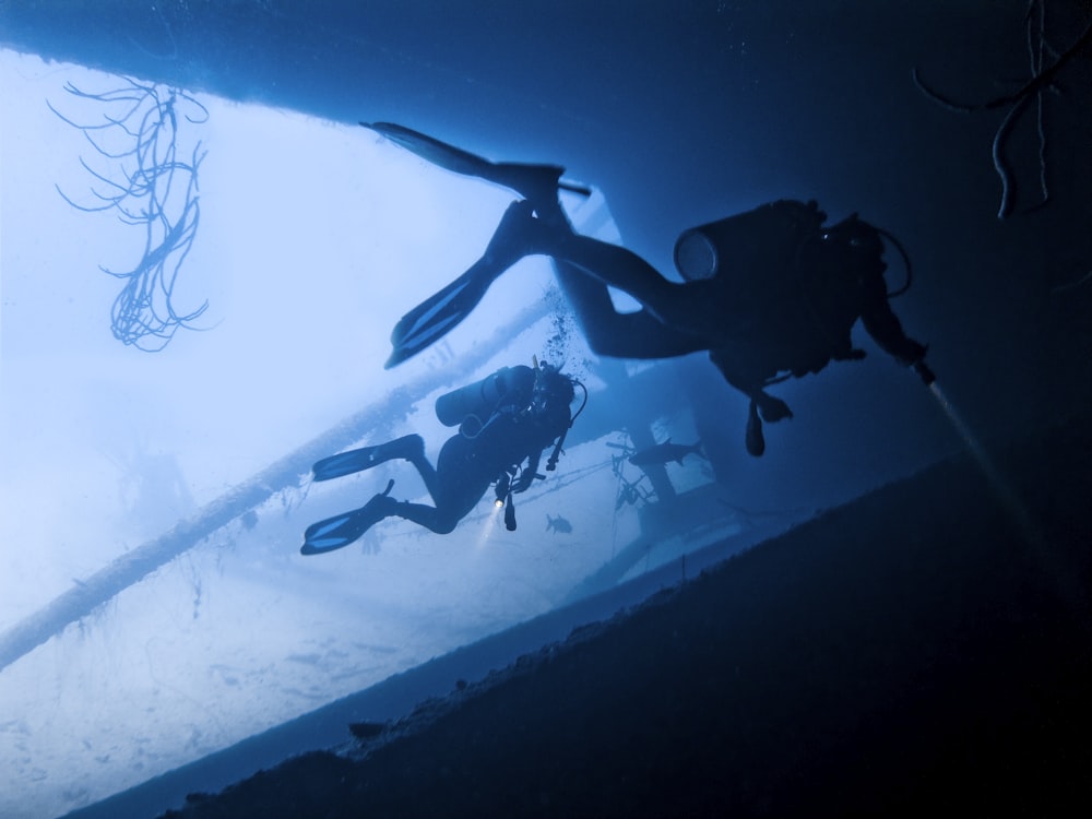 two person scuba diving in water