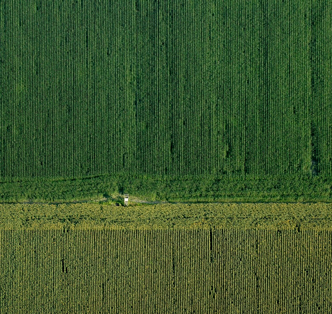 Natural landscape photo spot Zamárdi Zánka