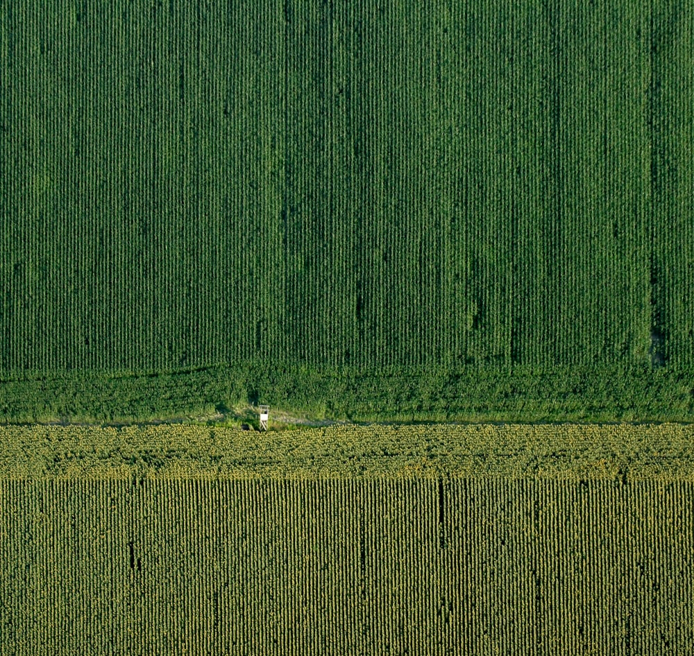 Photographie aérienne d’un champ d’herbe