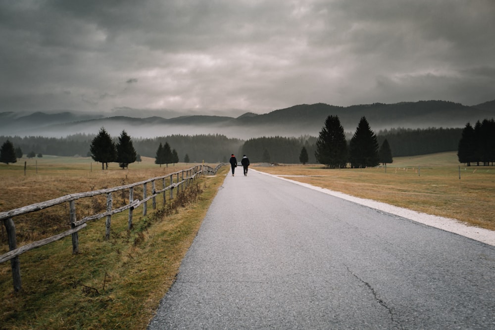 two person walking along road during daytime