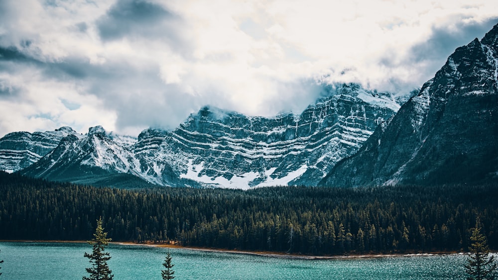 body of water beside forest and mountain covered with snow