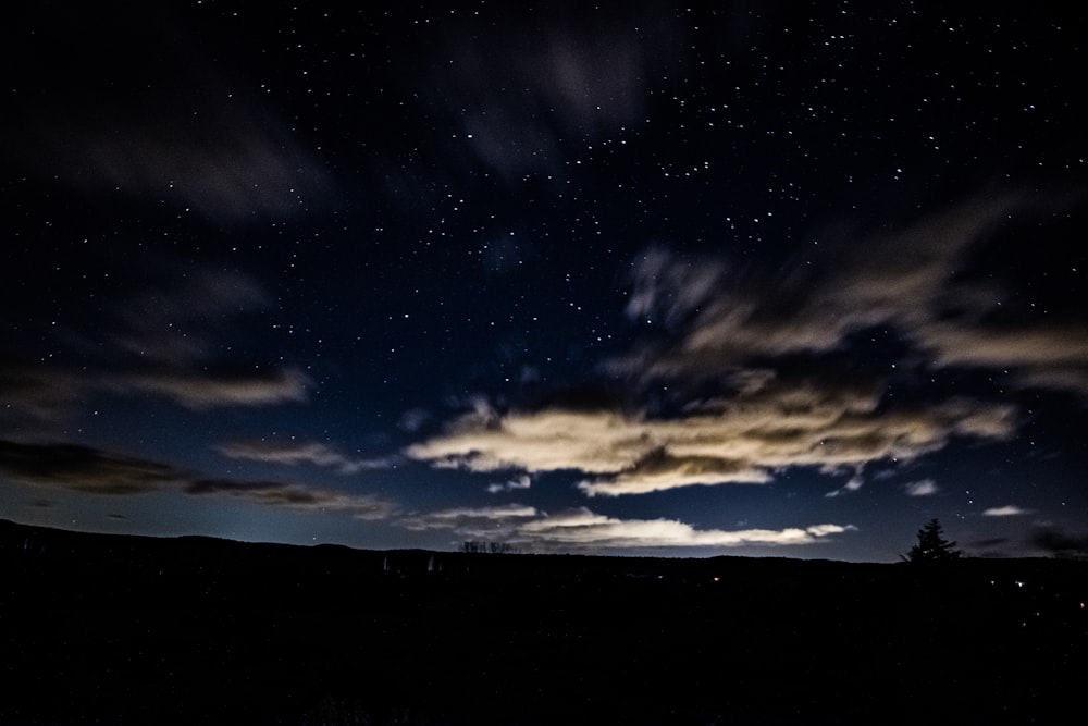 silhouette of trees at nighttime