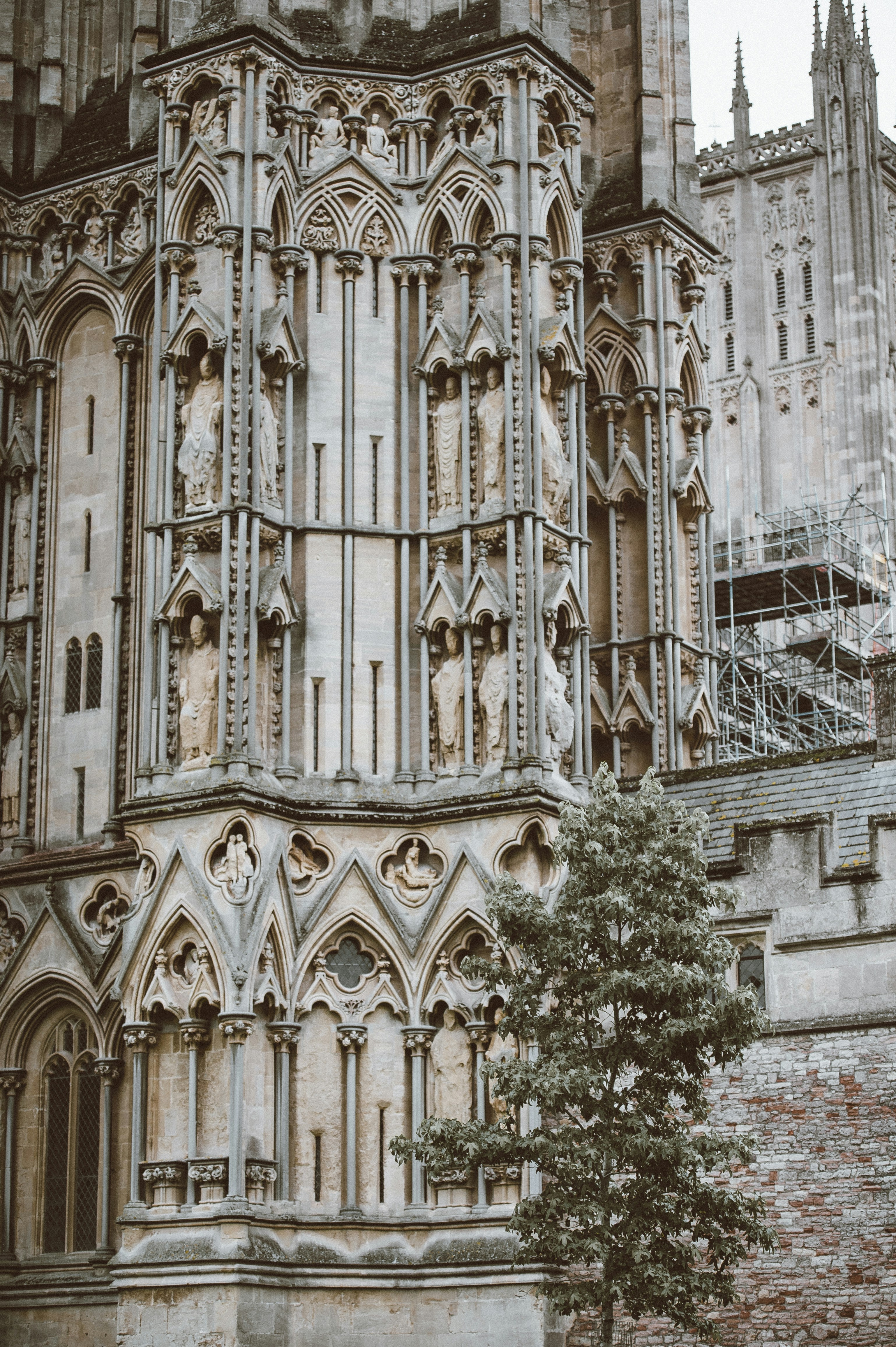 Photo by anniespratt