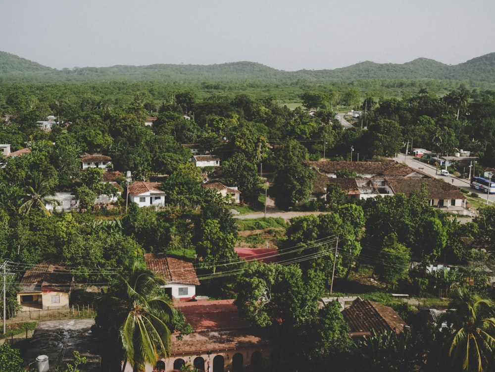 Photo aérienne d’arbres verts et de maisons blanches pendant la journée