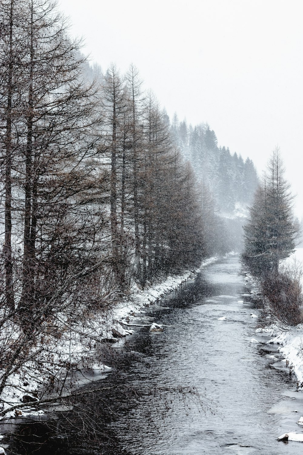 river between trees and snow capped land