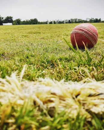Rad leather cricket balls showcasing vibrant colors.