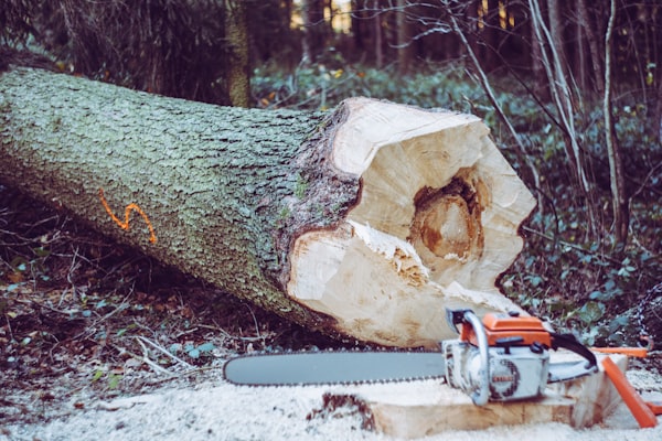 How Does a Portable Chainsaw Mill Work?