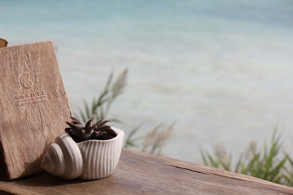 selective focus photography of shell vase