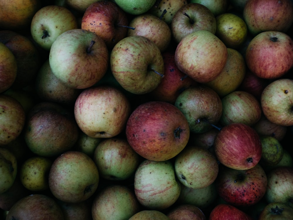 round green fruits