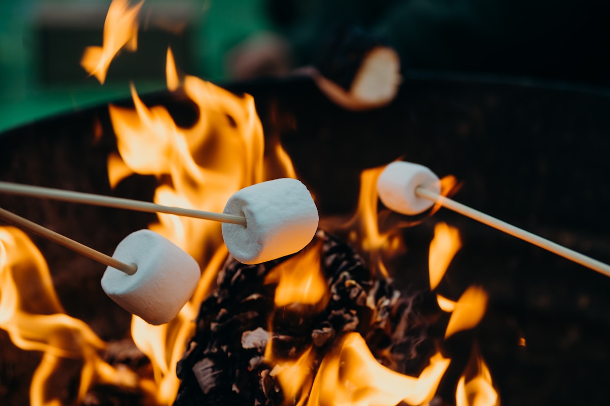 3 marshmallows roasting on sticks in a fire