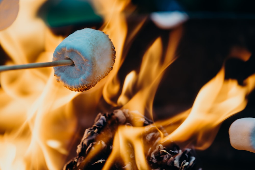 person barbecuing marshmallow