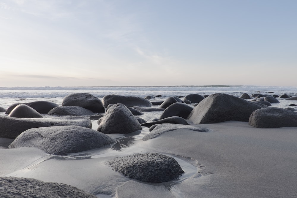 rocks near shoreline 사진