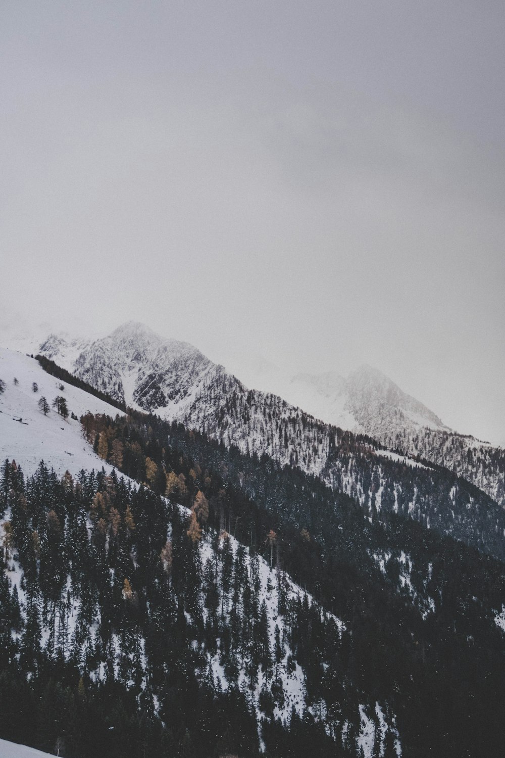 montagna coperta di neve e alberi