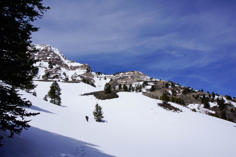 snow-covered mountain