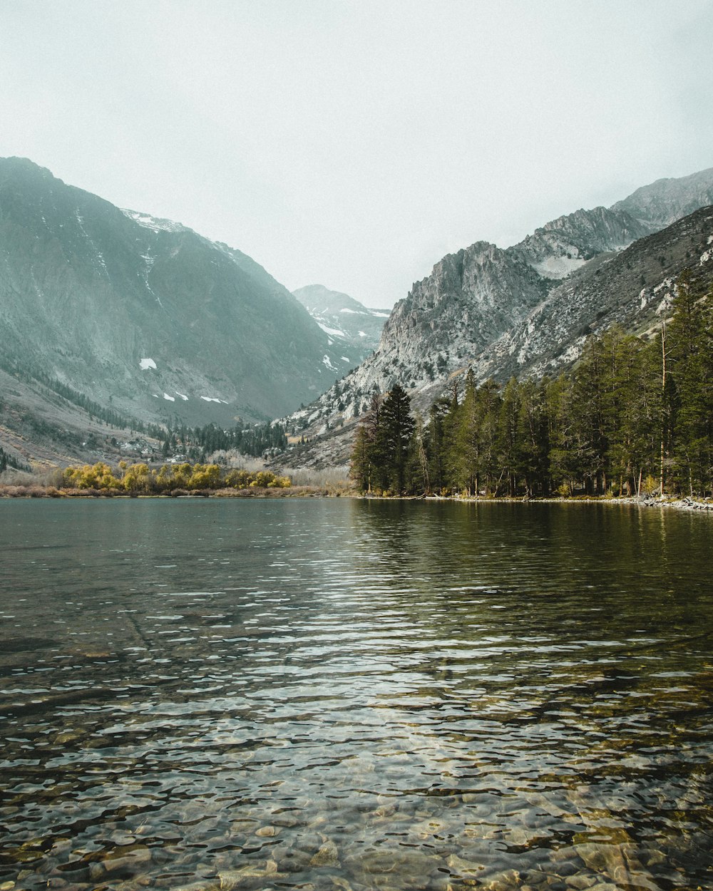 a body of water surrounded by mountains and trees