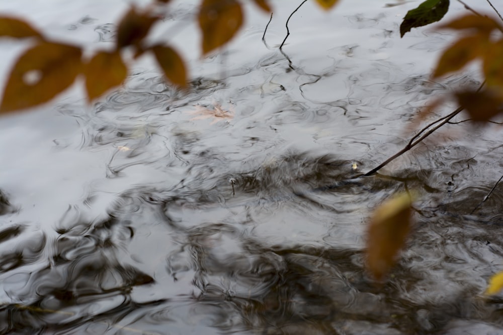 splashing water