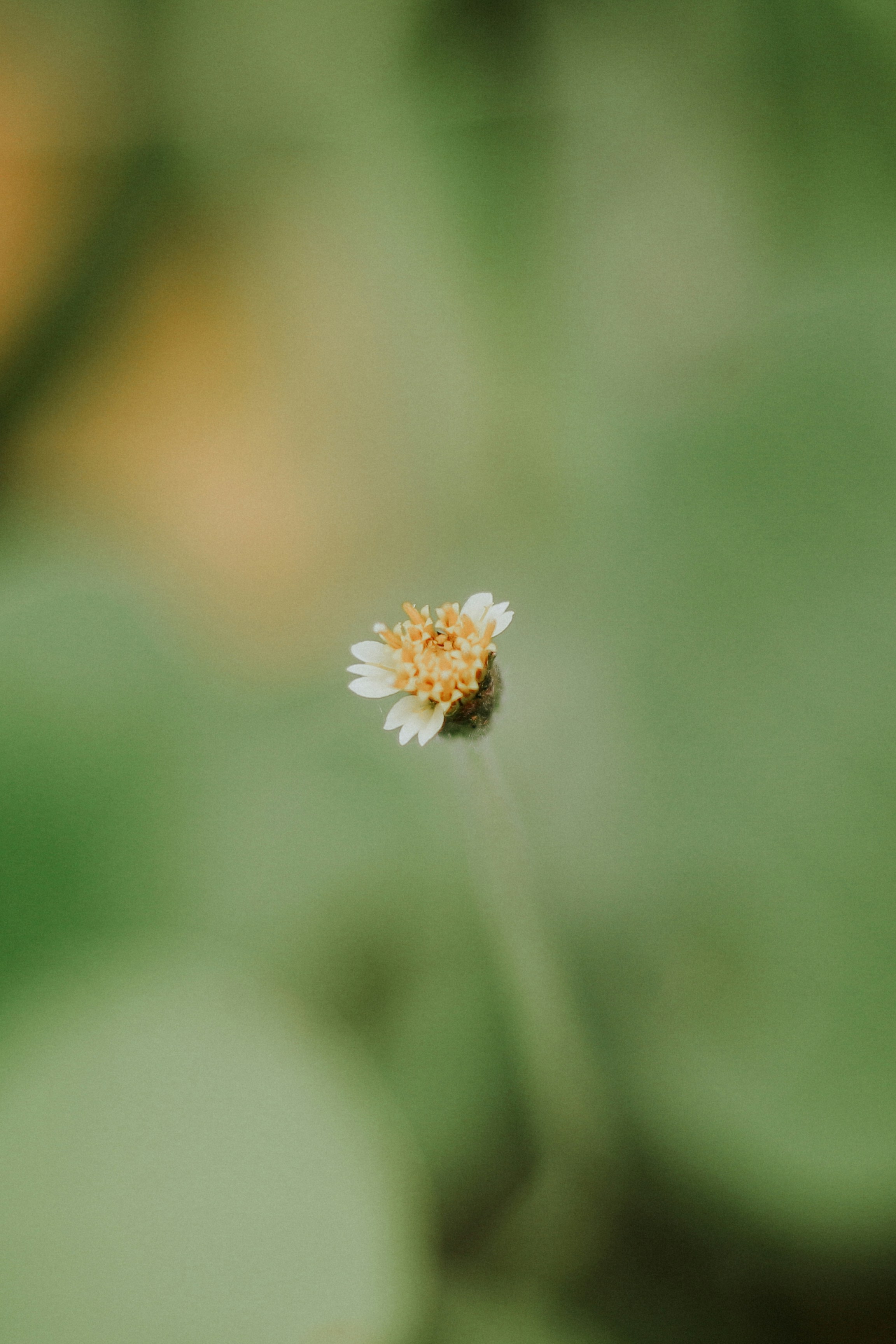 The Haptic Image: Touch and Digital Visual Culture