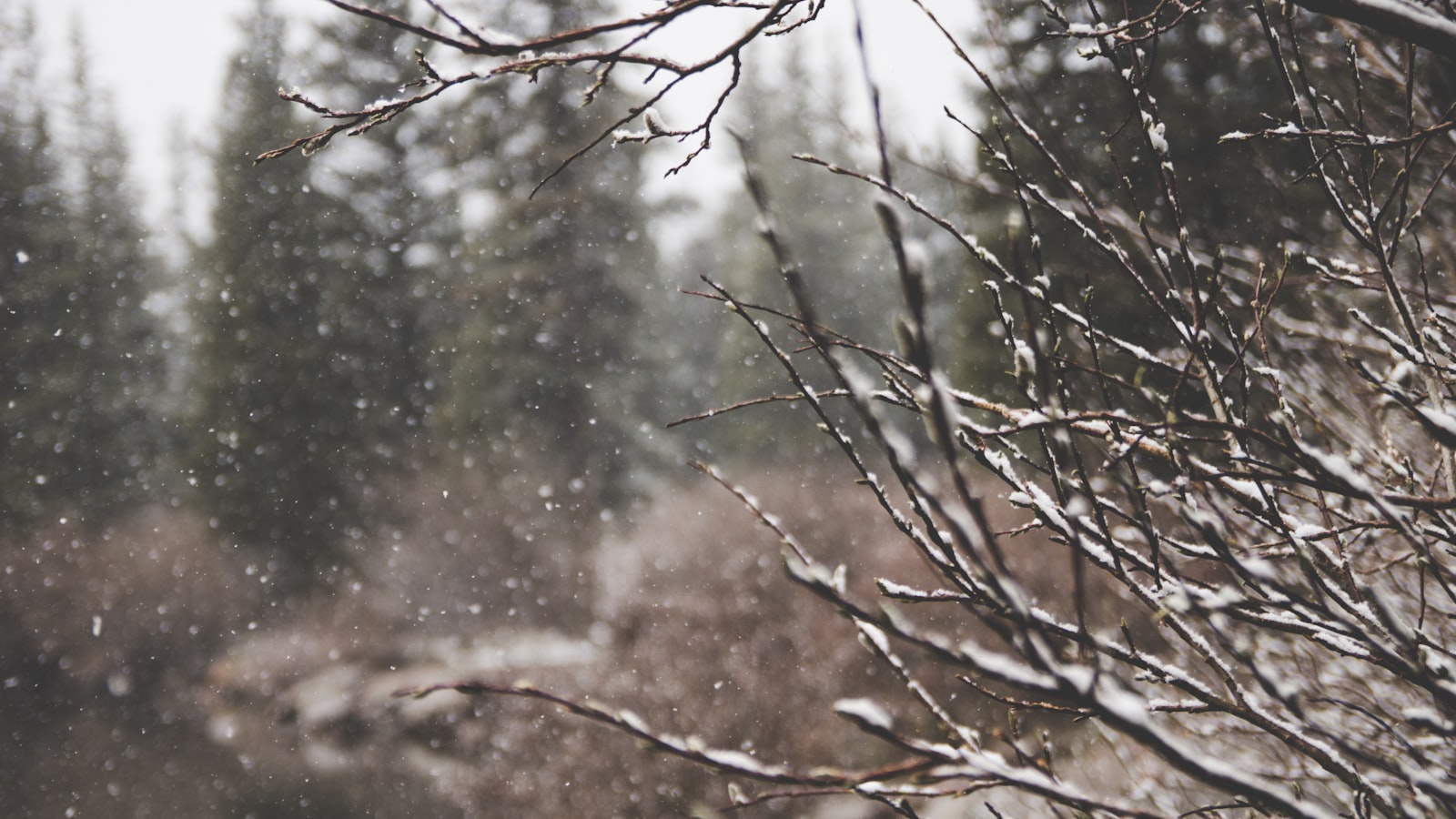 Sony SLT-A77 + Sigma 17-70mm F2.8-4.5 (D) sample photo. Macro shot of snow photography