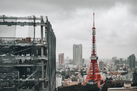 selective color photography of Eiffel tower Paris in Tokyo Tower Japan
