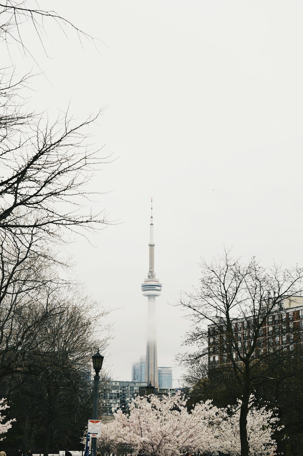 white and black tower near bare trees during daytime