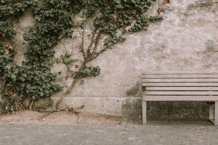 The Bench