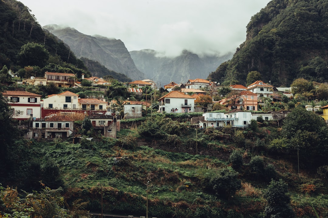 Travel Tips and Stories of Madeira in Portugal