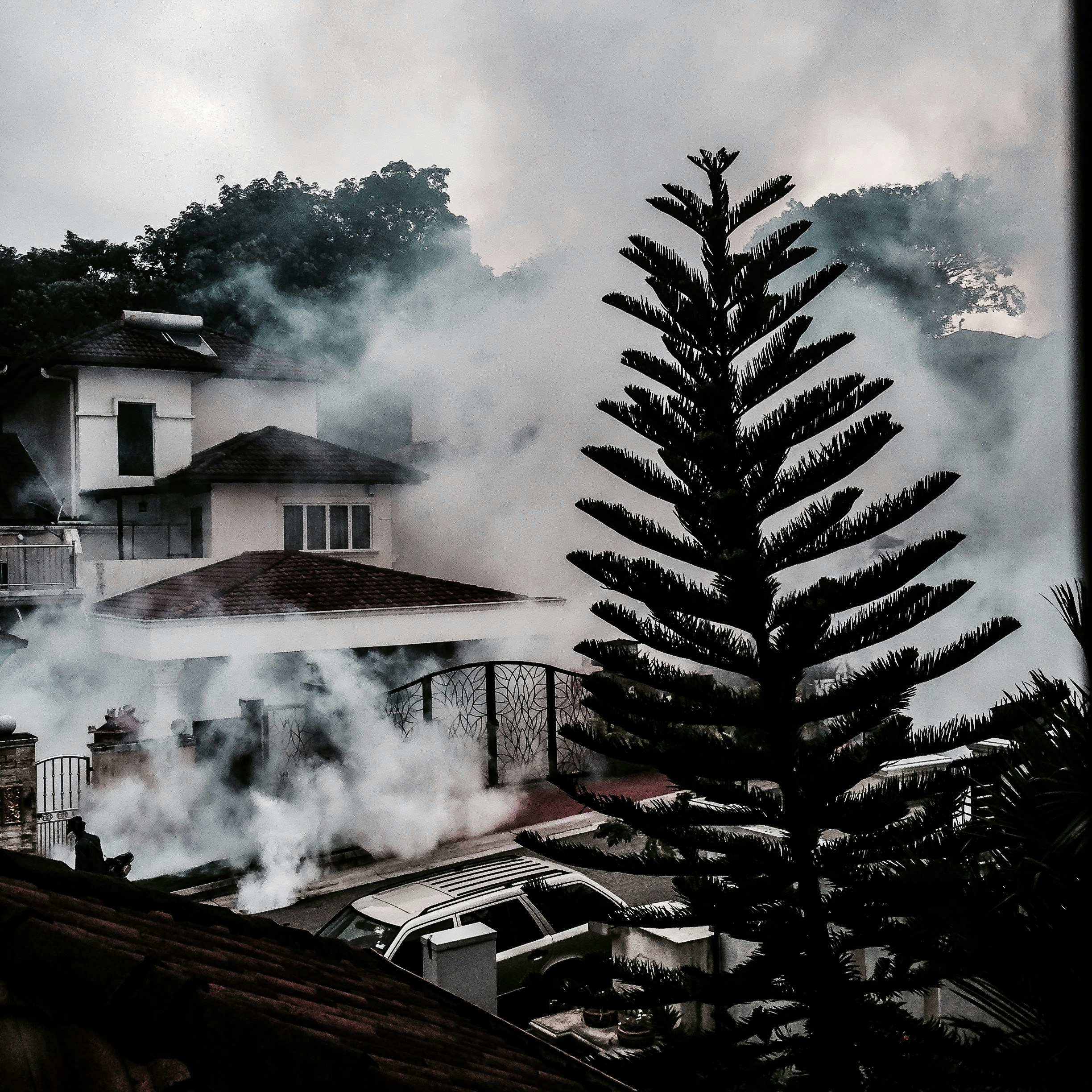 Character Crushes Decoded: What Your Fictional Attractions Say About You