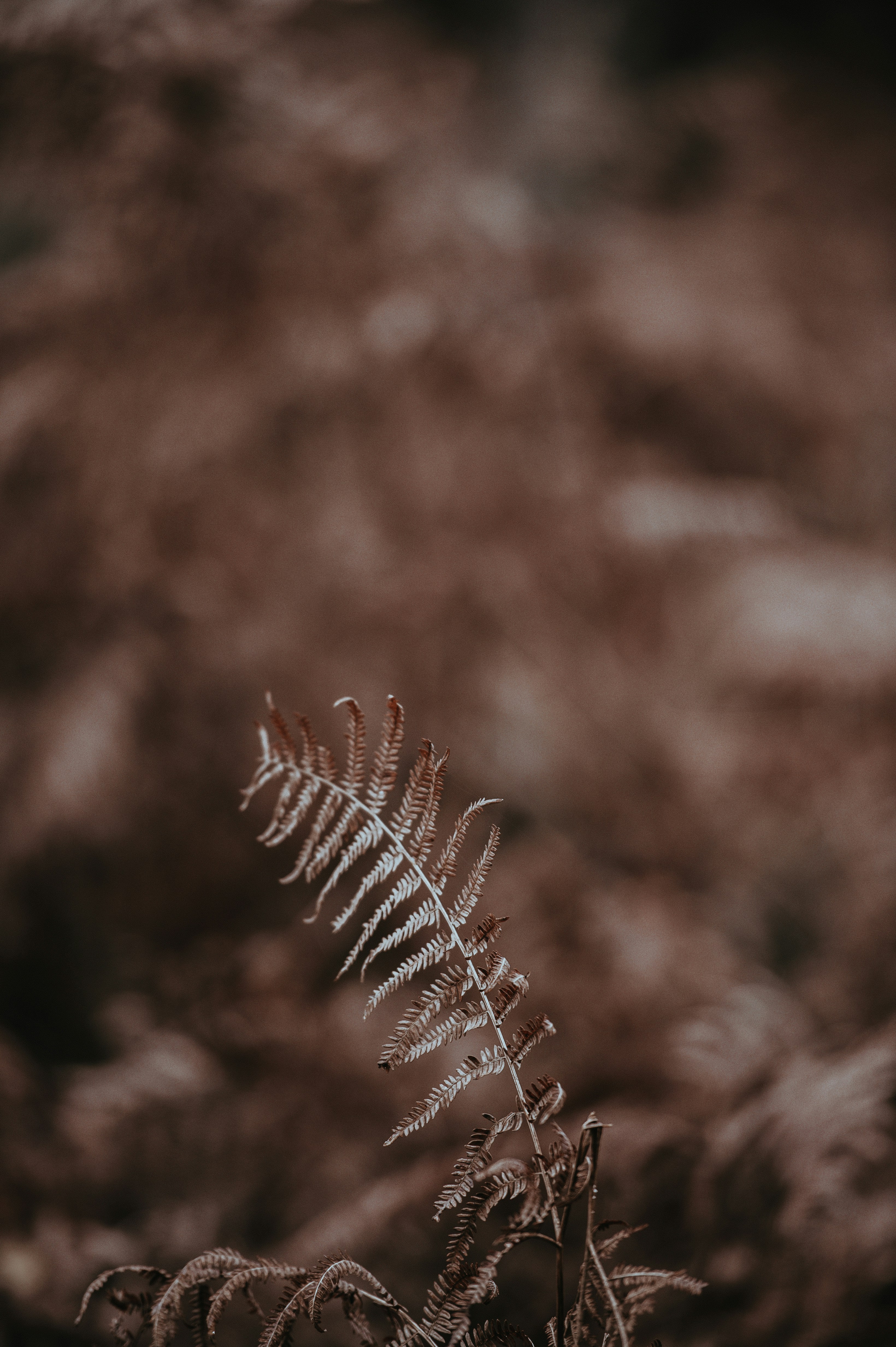 Photo by anniespratt