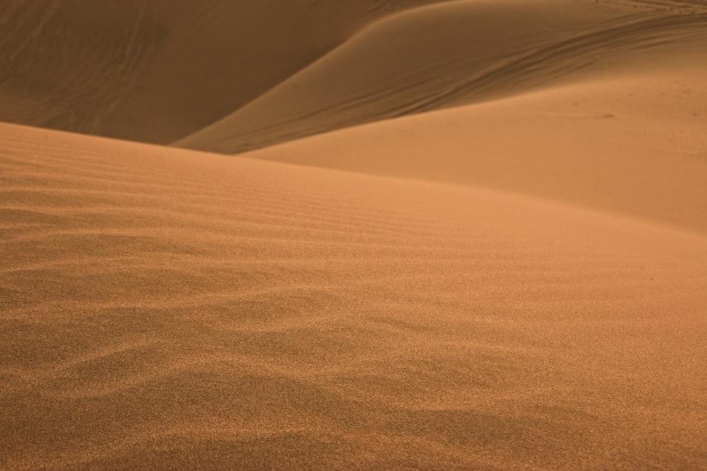 brown desert