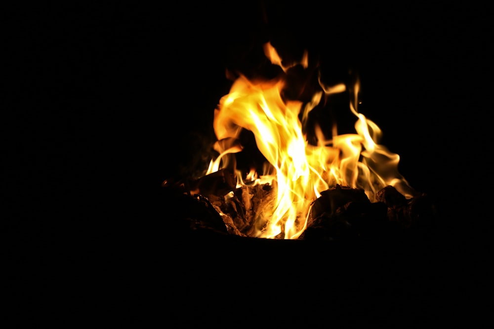 close-up photography pf bonfire