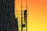 black scaffolding golden hour