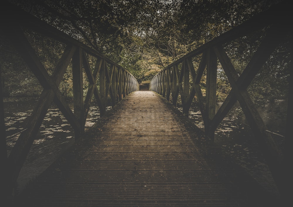 eine Holzbrücke mit einem Pfad, der durch den Wald führt