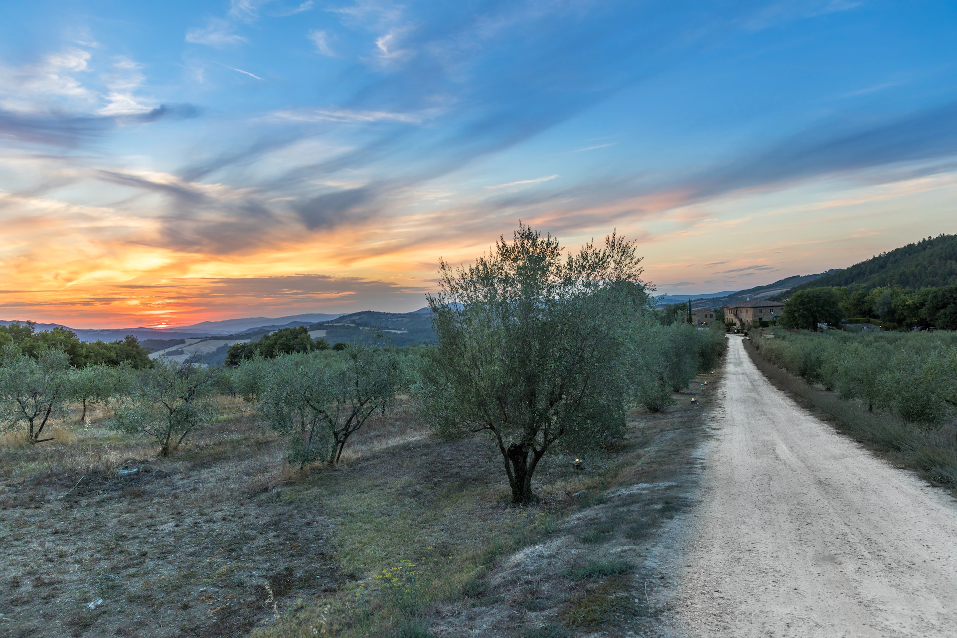 woman wearing yellow long-sleeved dress under white clouds and blue sky during daytime